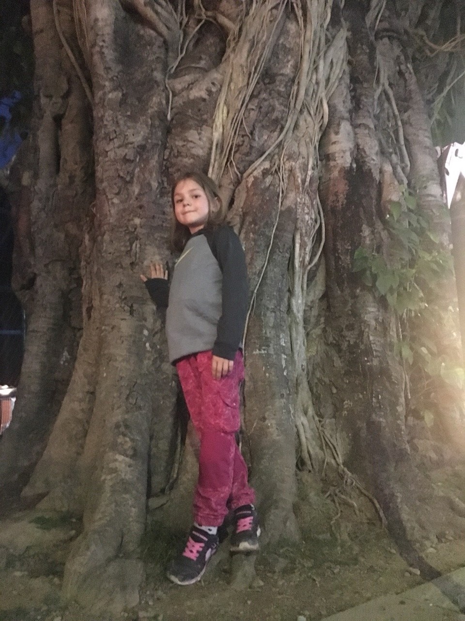 Nepal - Pokhara - 