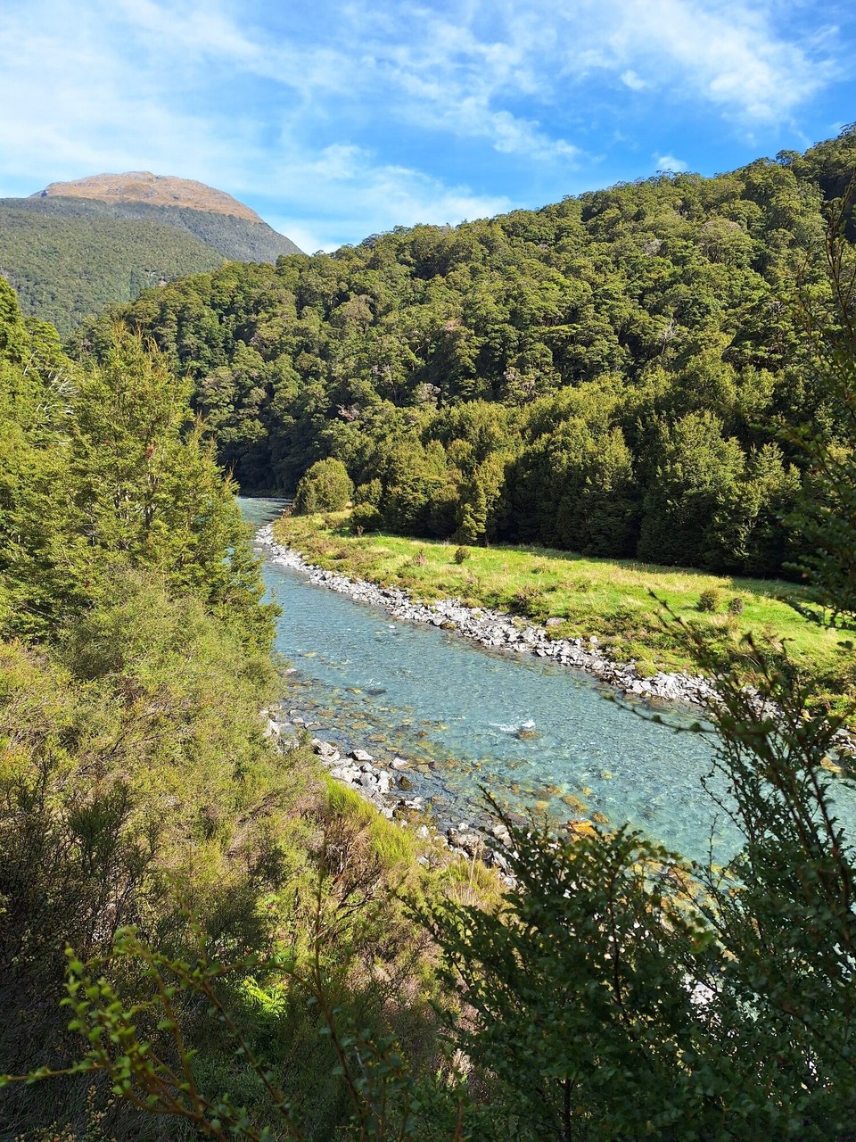 Neuseeland - Jackson Bay - 