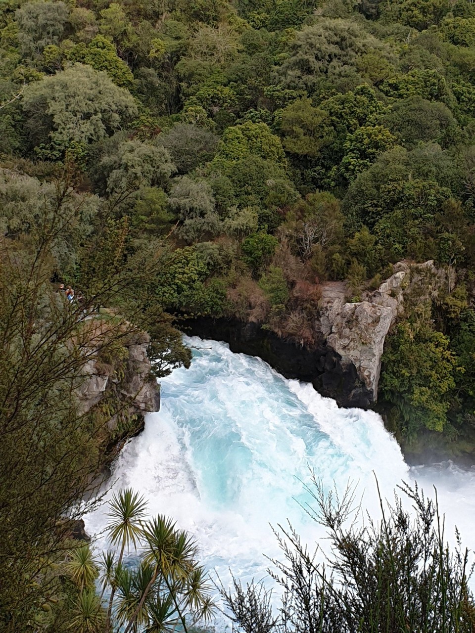 Neuseeland - Taupo - 
