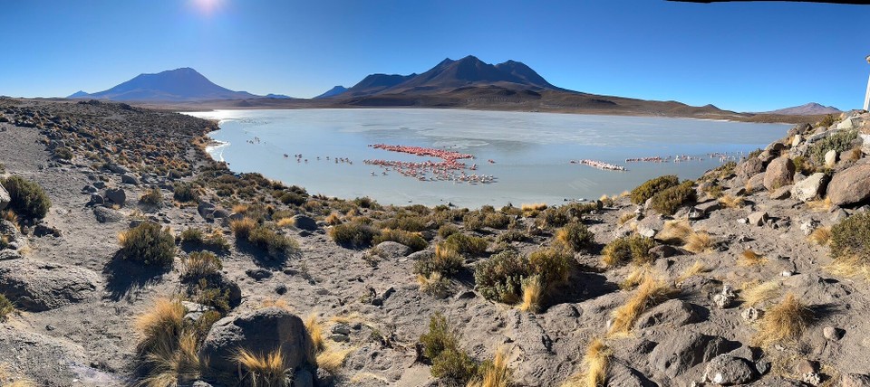 Chile - San Pedro de Atacama - 