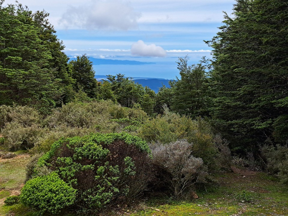 Neuseeland - unbekannt - 