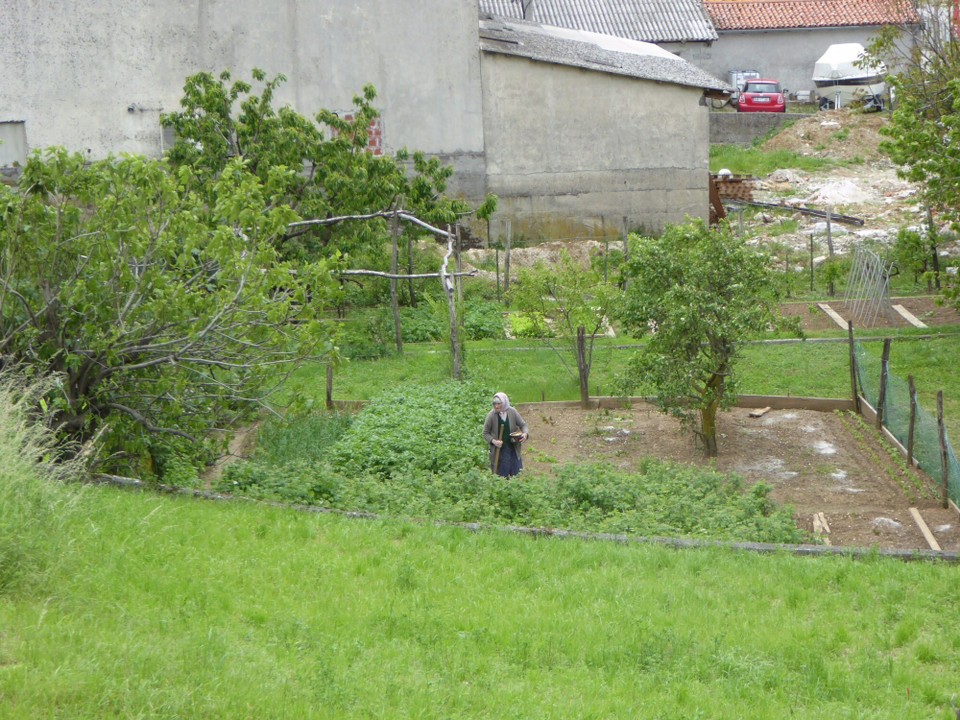 Slowenien - Vipava - Selbstversorger Garten - zumindest Gemüse :)