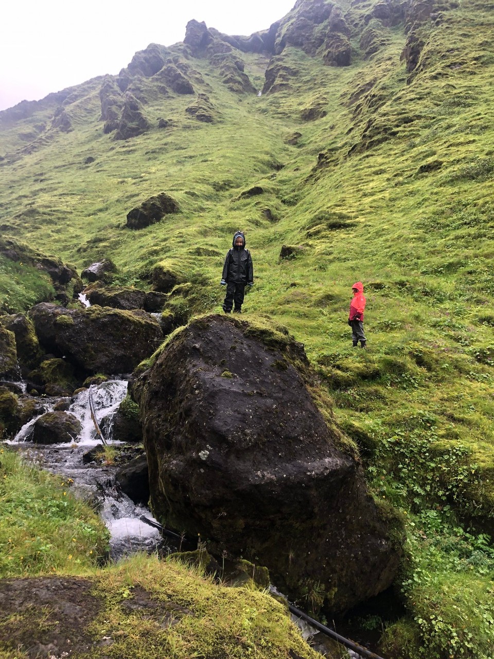Island - Mýrdalshreppur - 🥰😍 Wenn wir immer weiter auf diesem Pfad hier bleiben, kommen wir irgendwann hoch zum Myrdalsjôkull, unter dem die Katla liegt.