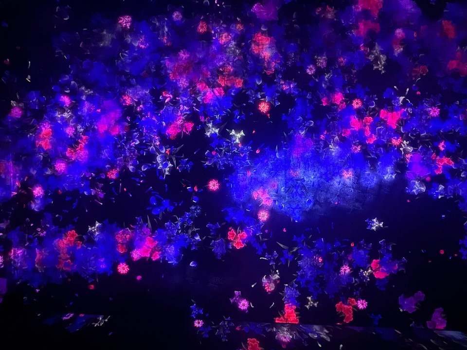 Japan - Chiyoda - So startet TeamLab Borderless - ein Raum voller Blüten