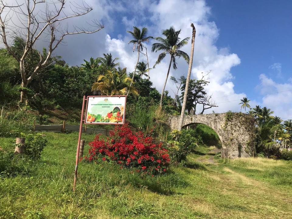Dominica -  - 