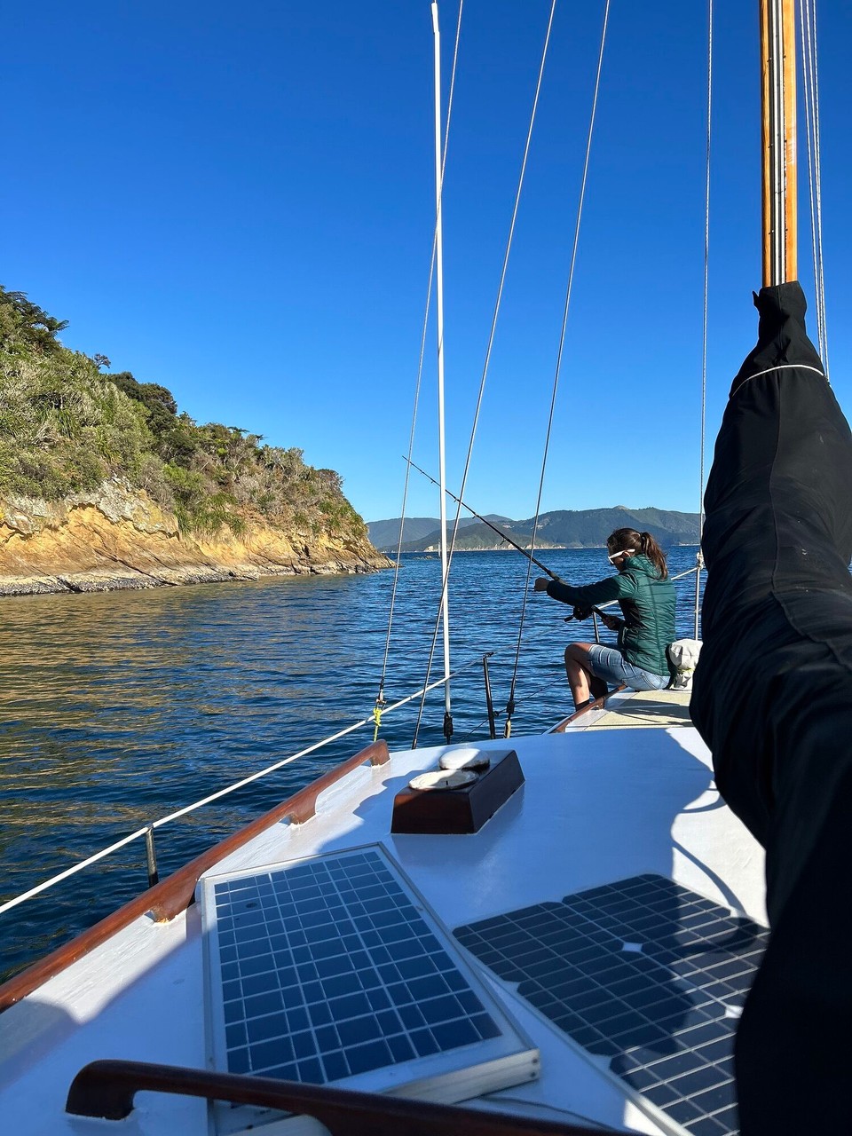 Neuseeland - Marlborough Sounds - Bisschen fischen auf dem Rückweg, aber alles zu klein, also wieder zurück ins Wasser 🤷🏻‍♀️