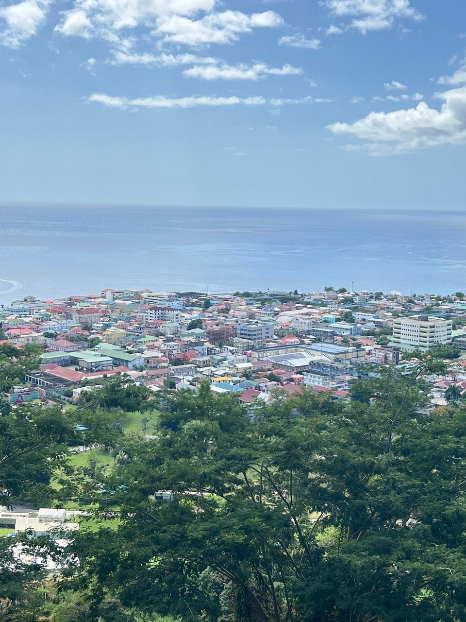 Dominica -  - Blick auf Roseau
