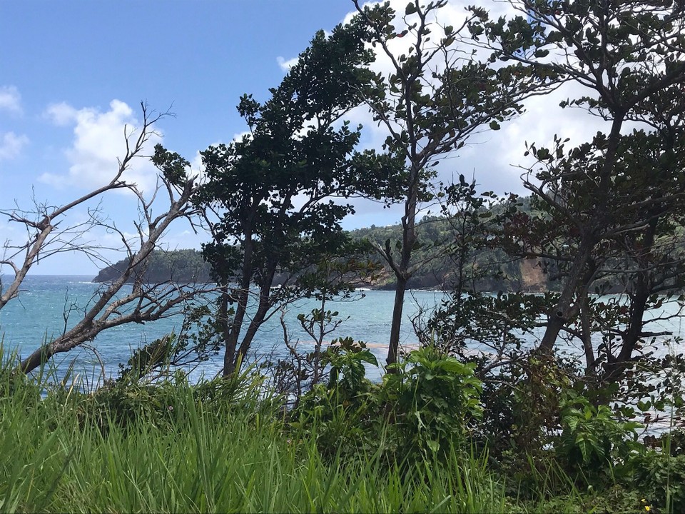 Dominica -  - 