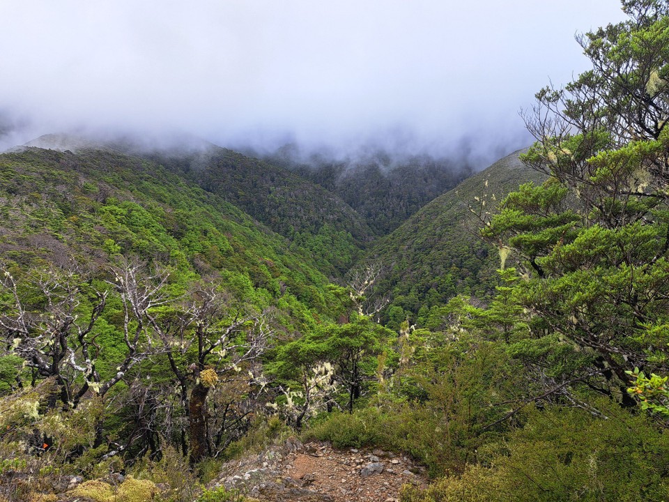 Neuseeland - unbekannt - 