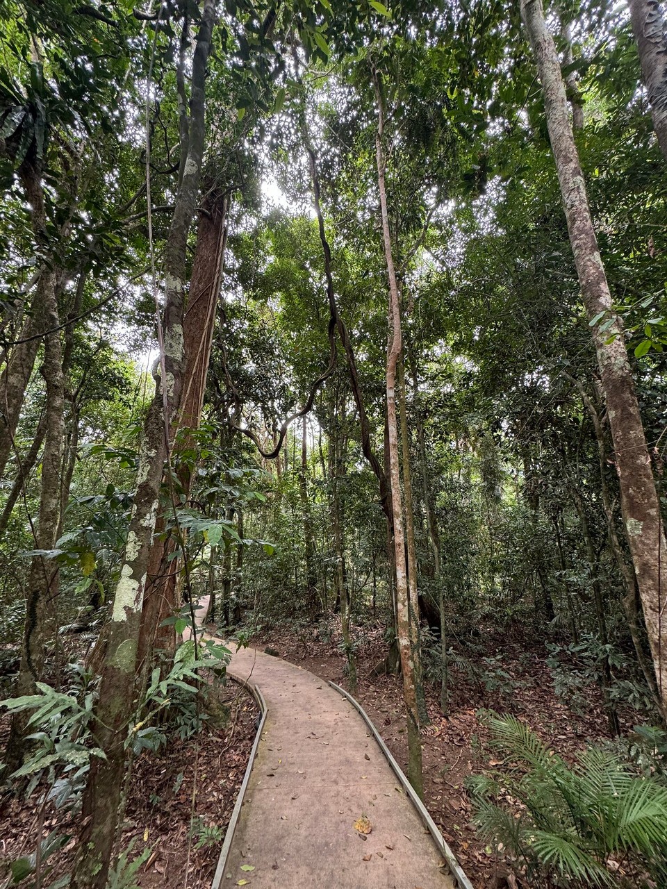 Australien - Fishery Falls - Marrdja Boardwalk