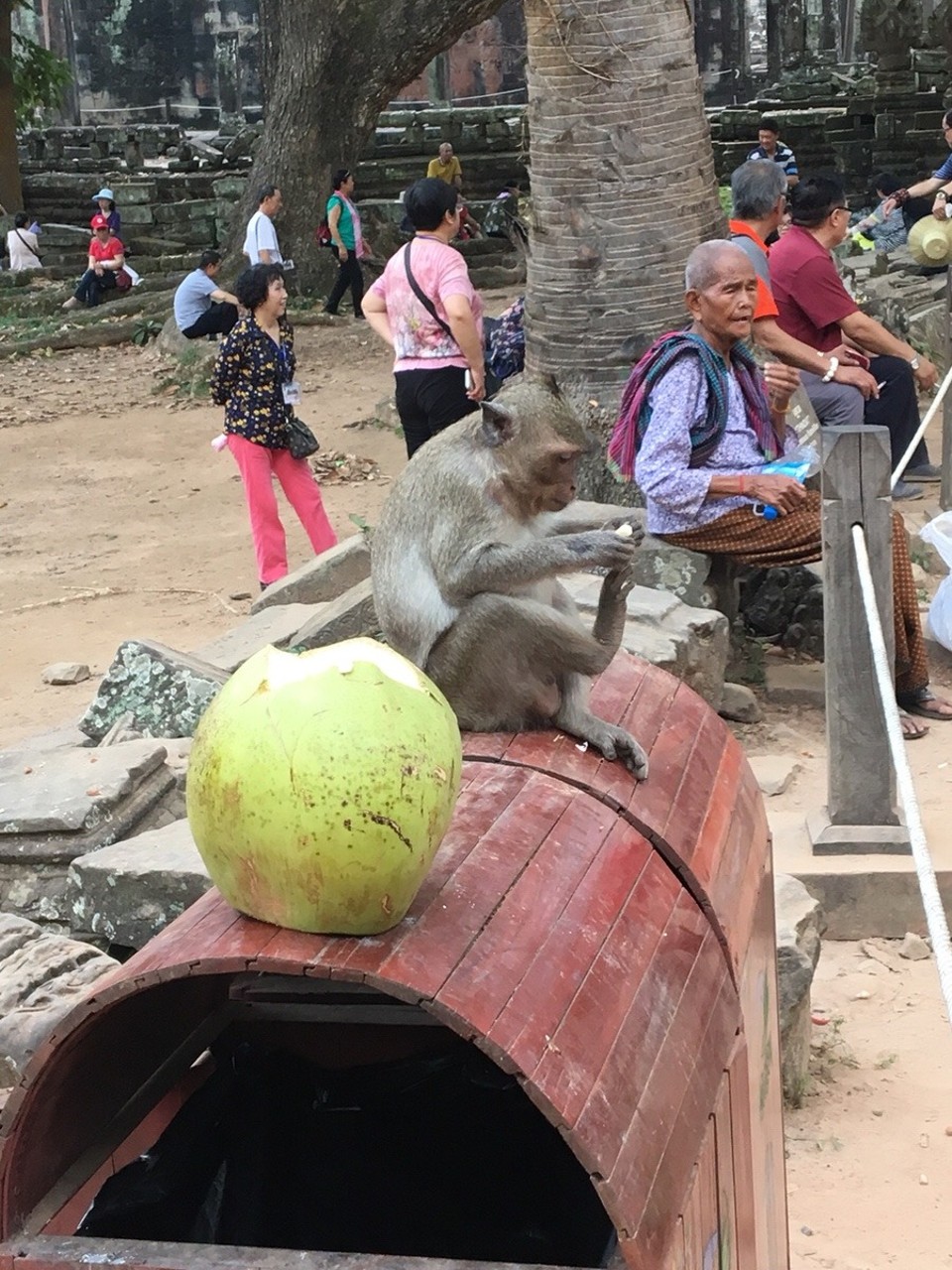 Kambodscha -  - 🐒🐒🐒🐒