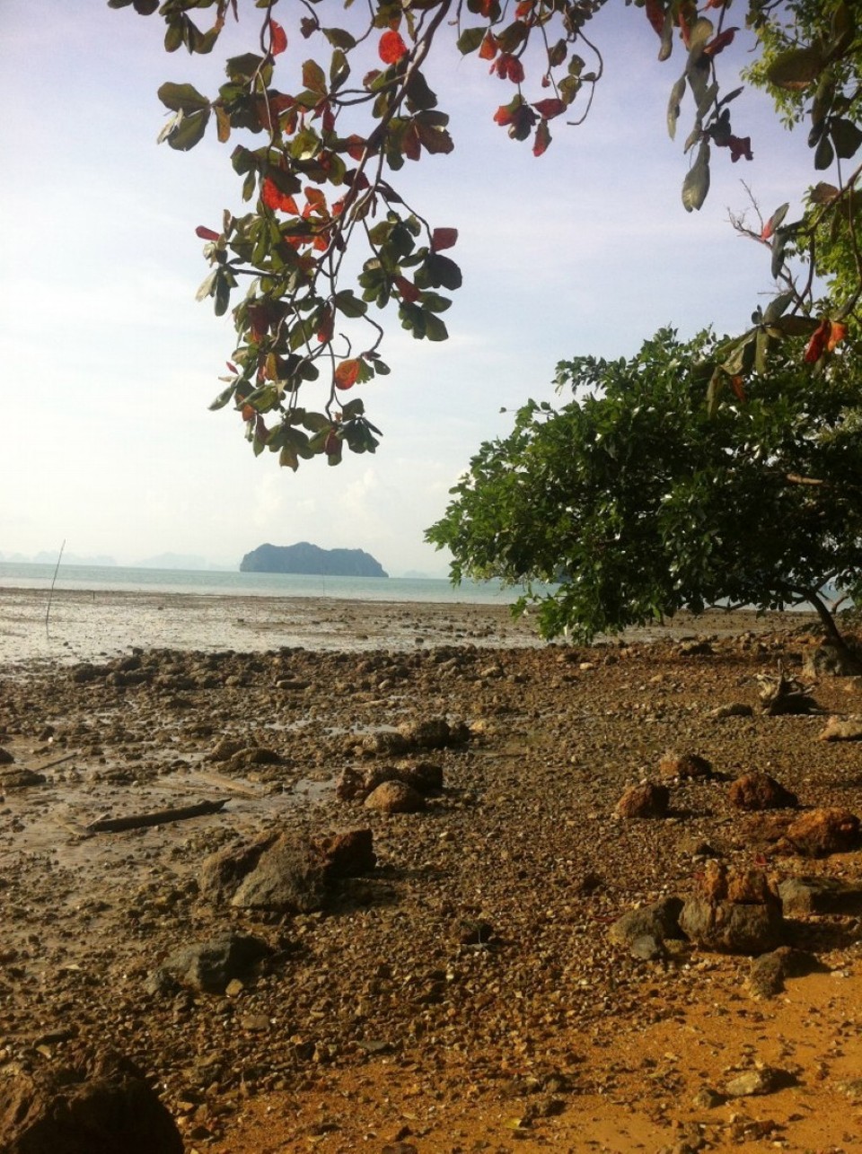 Thailand - Amphoe Ko Yao - Strand bei Ebbe, leider nicht so einladend