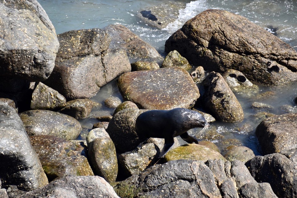 Neuseeland - Hokitika - 