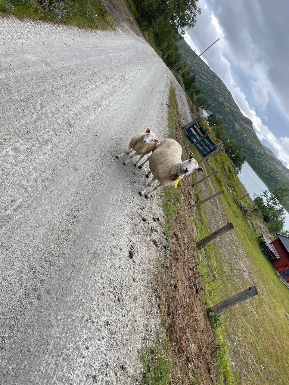 Norwegen - Haugastøl - 