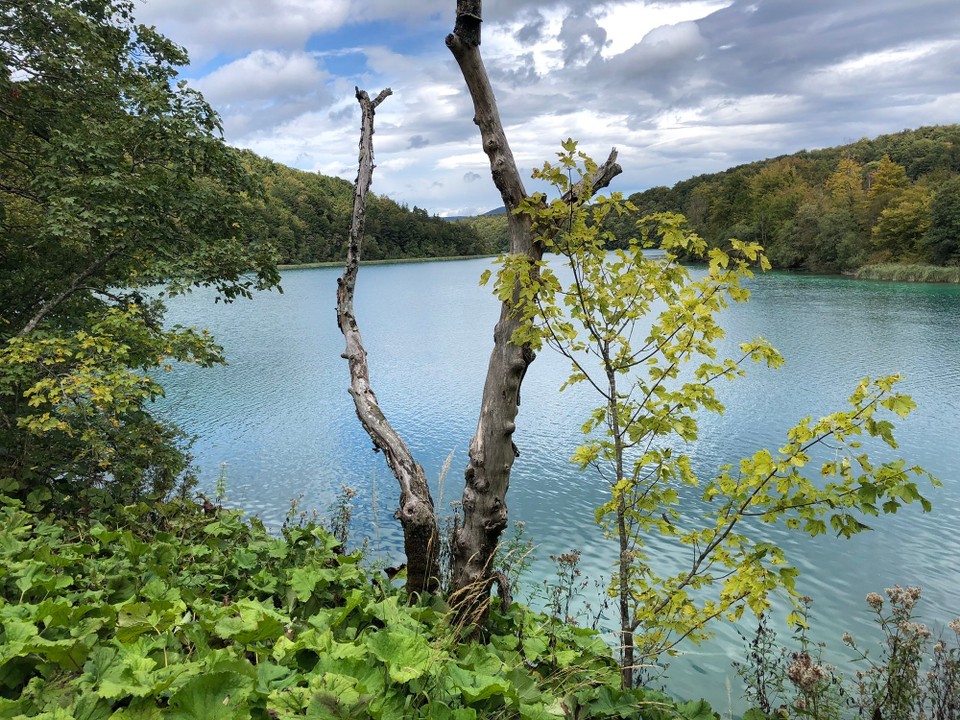 Kroatien - Plitvička jezera - 