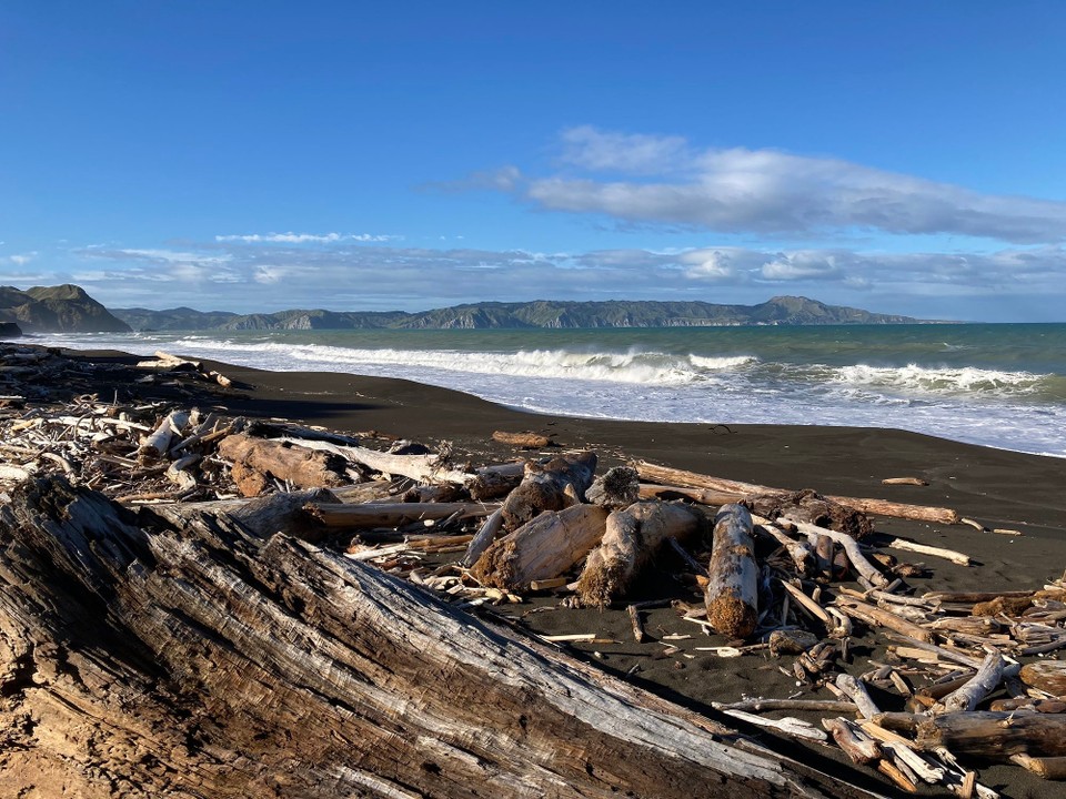 Neuseeland - Napier - Ein Strand mit schwarzem Sand, auch mal sehr schön!
