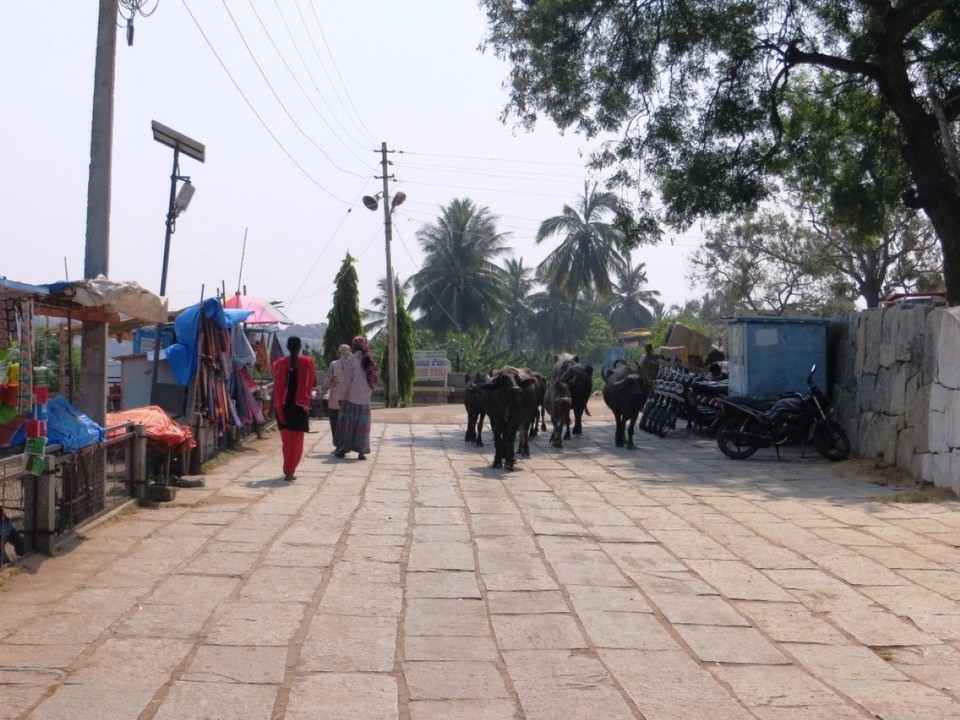 Indien - Hampi - 