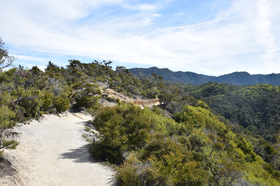 Neuseeland - Abel-Tasman-Nationalpark - 