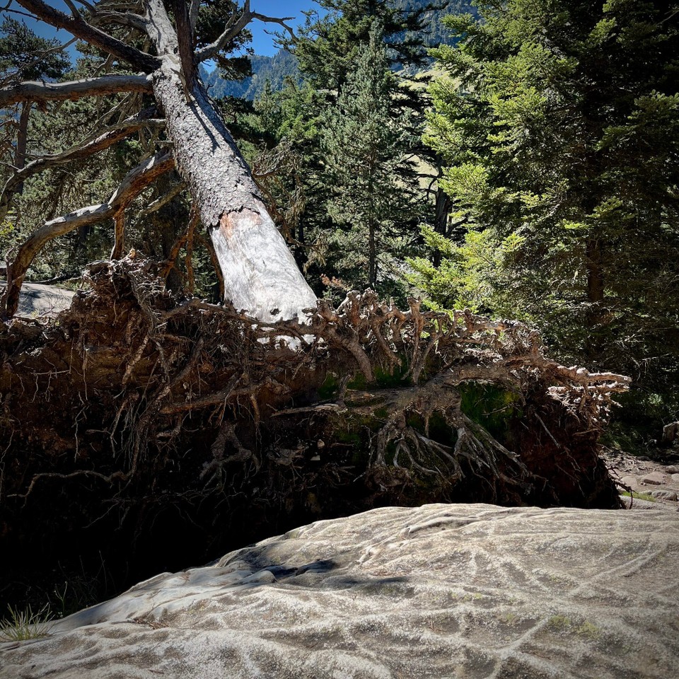 Frankreich - Cauterets - 