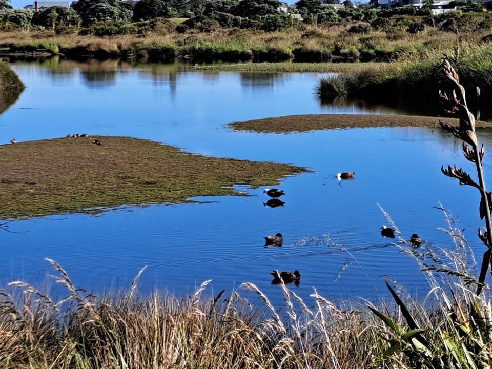 Neuseeland - Porirua - 