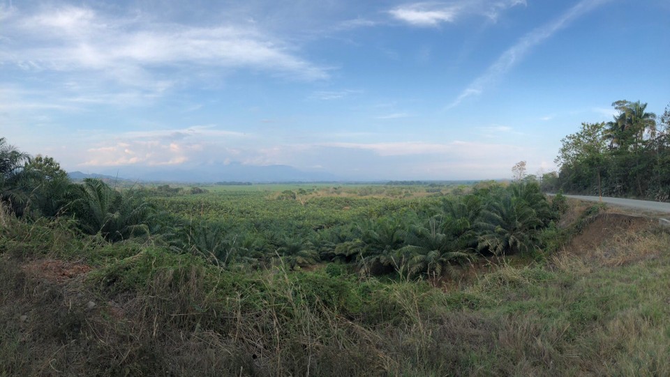 Costa Rica - Quepos - 