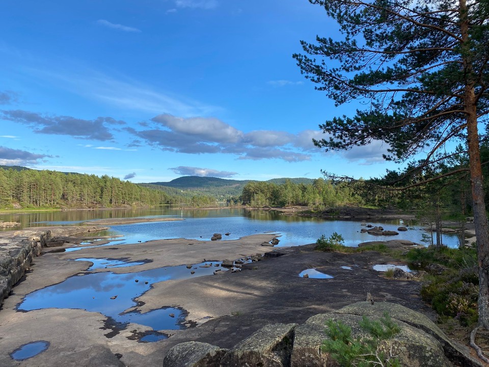 Norwegen - Evje - Die Hunde konnten ihr erstes Bad nehmen. 
