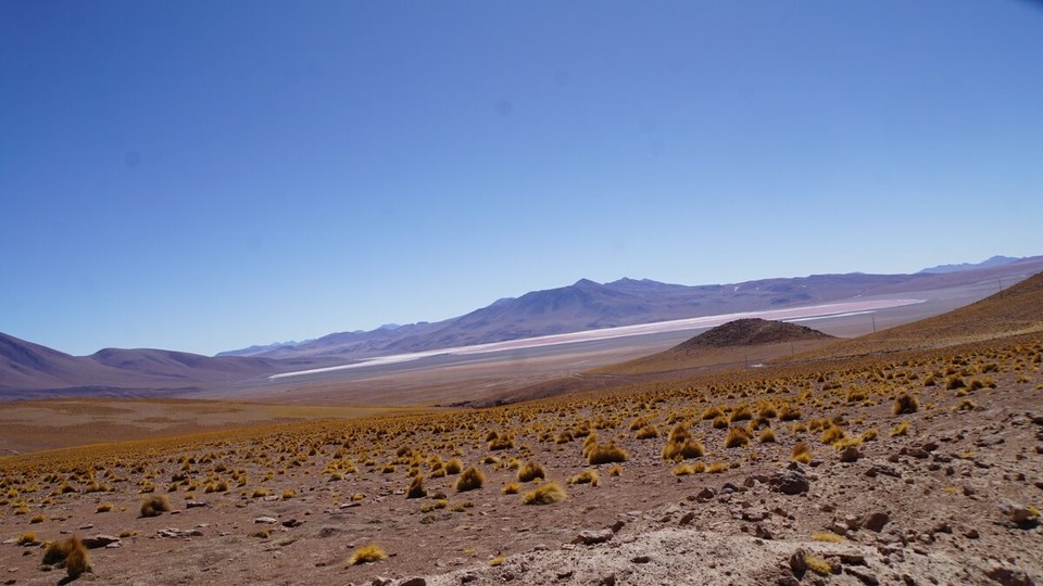 Chile - San Pedro de Atacama - 