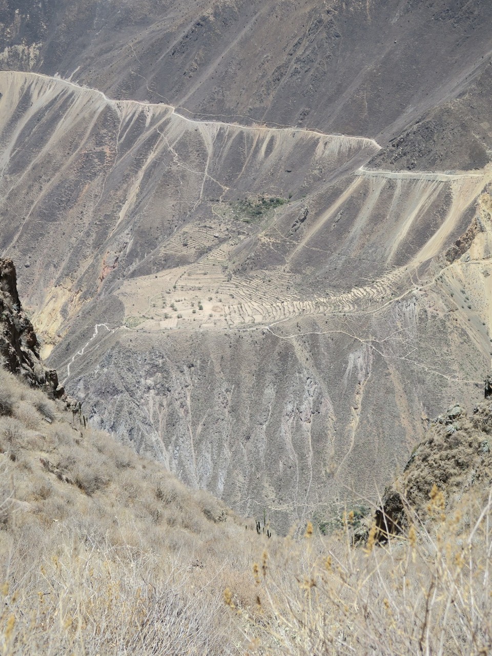 Peru - Cabanaconde District - les cultures en terrasses, un peu sèches à cette saison