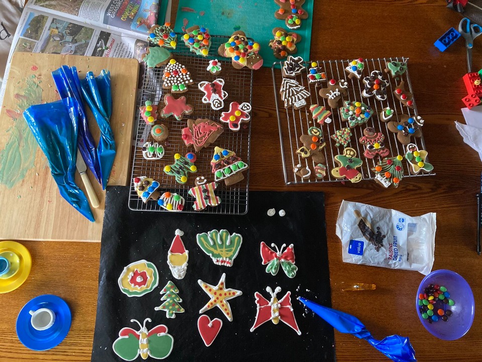 Neuseeland - Harihari - Tada 🤩🥳