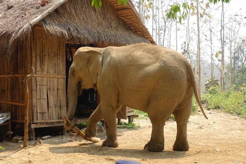 Laos - Luang Prabang - 