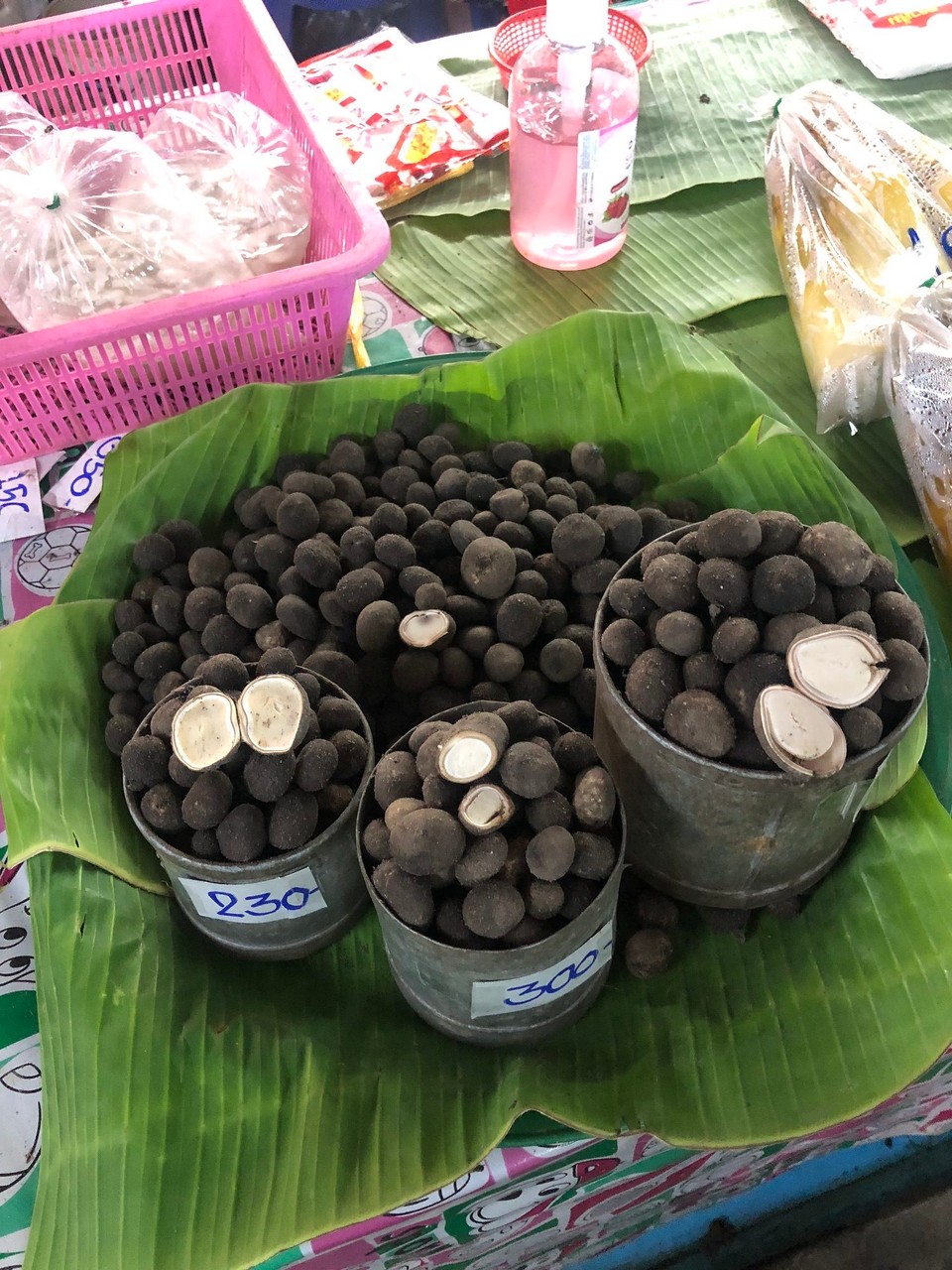 Thailand - Chiang Mai - Für diese Pilze wurden die Wälder abgebrannt. An manchen Stellen brennt es immer noch unkontrolliert, da es noch nicht genug geregnet hat. 🔥