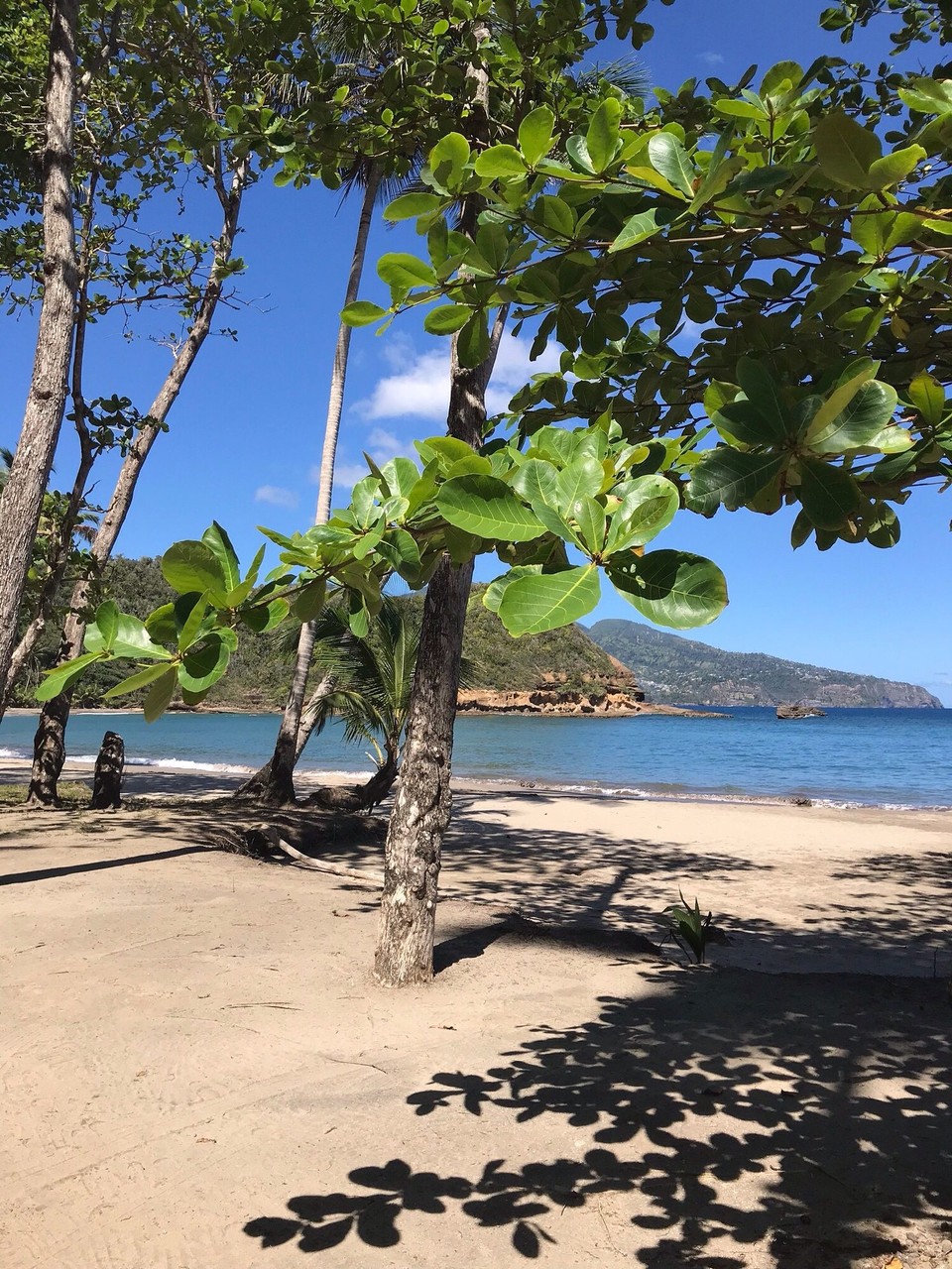 Dominica -  - 