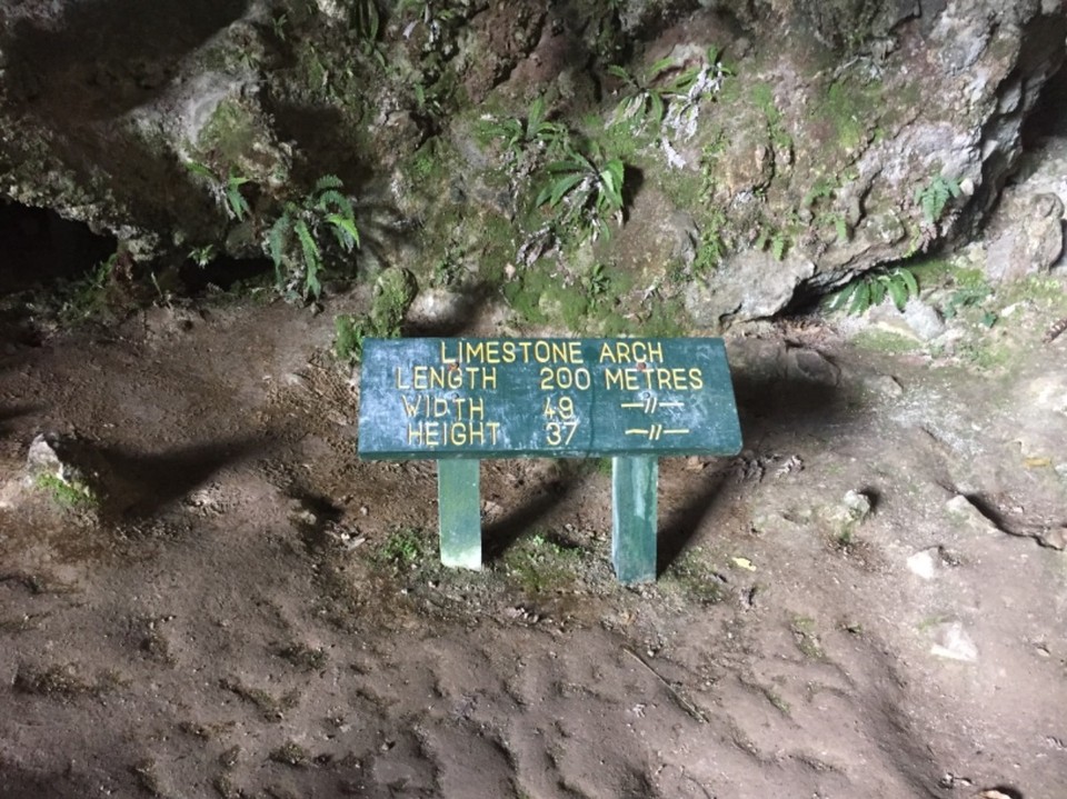 Neuseeland - Oparara River - 