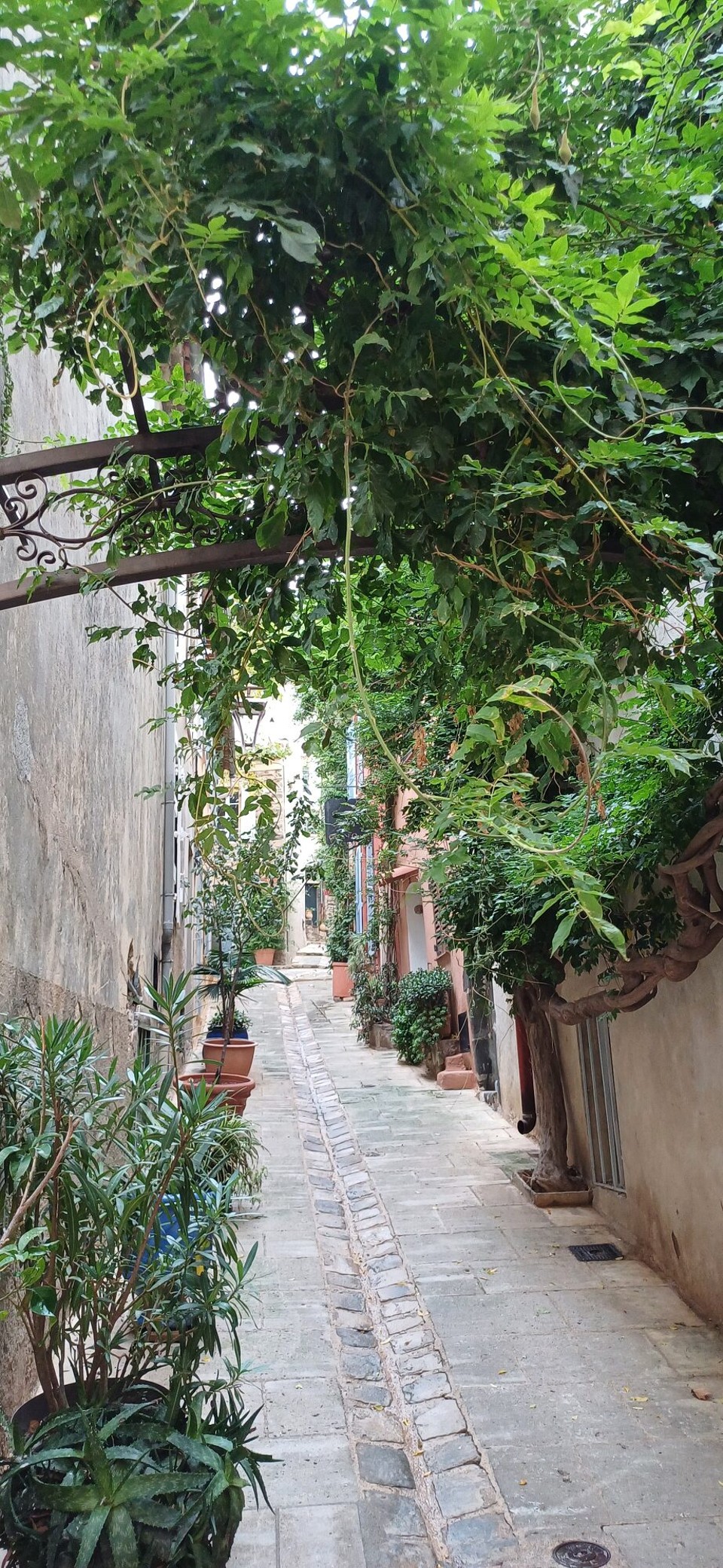 Frankreich - Grimaud - 