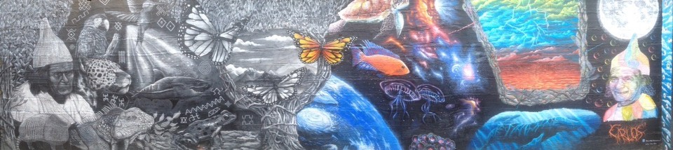 Kolumbien - Santa Marta - Graffitigemälde in Santa Marta