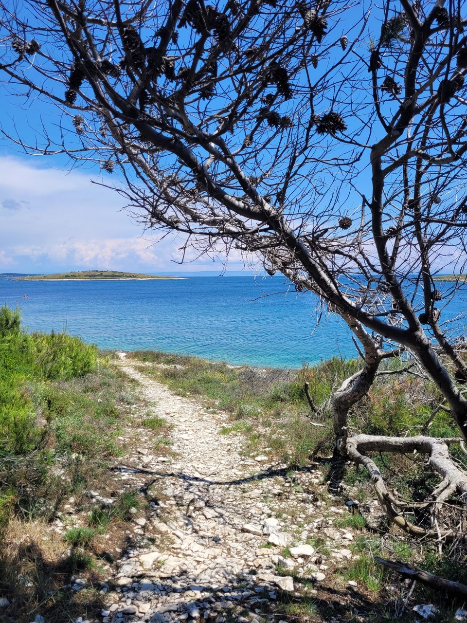 Kroatien - Premantura - 