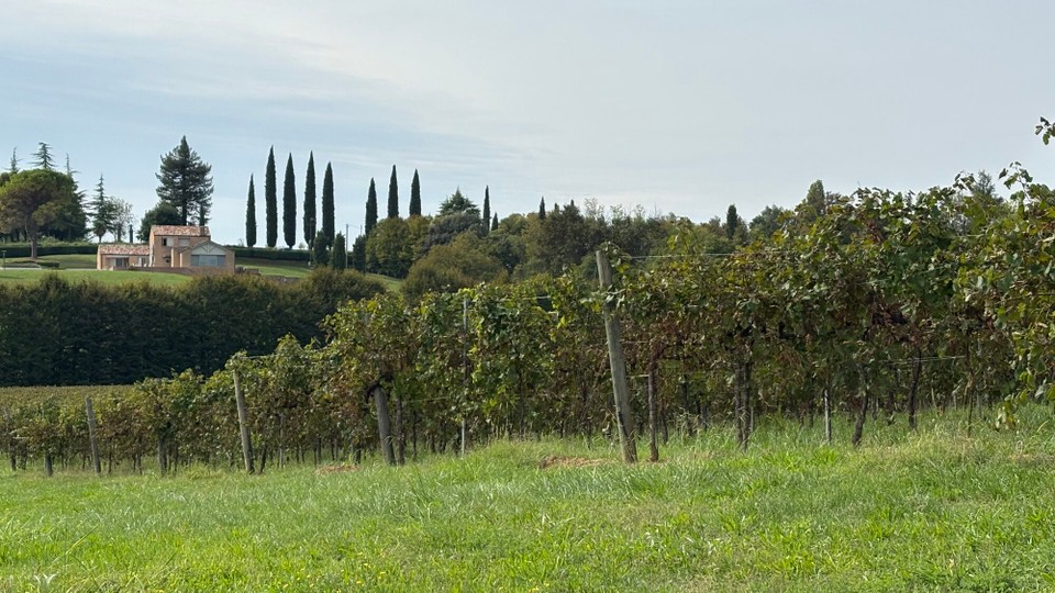 Italien - Treviso - 