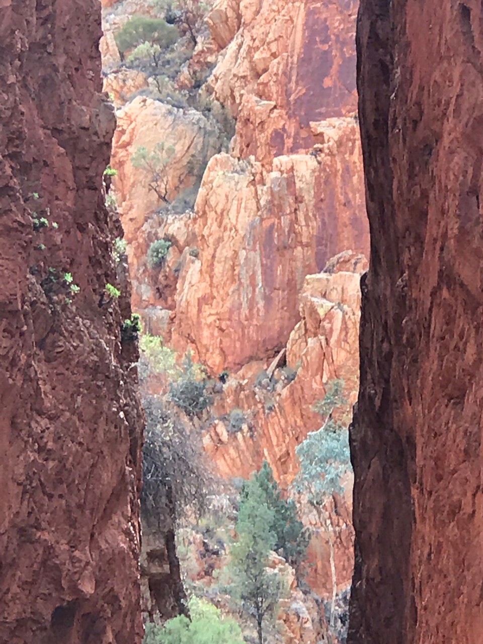 Australia - Alice Springs - Looks like a painting 