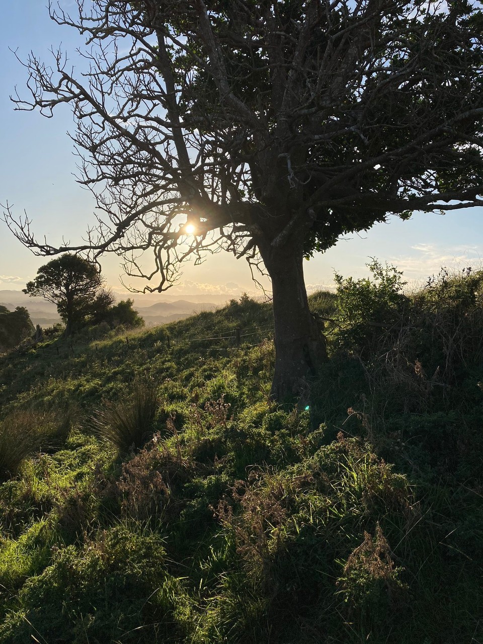 Neuseeland - Tolaga Bay - 