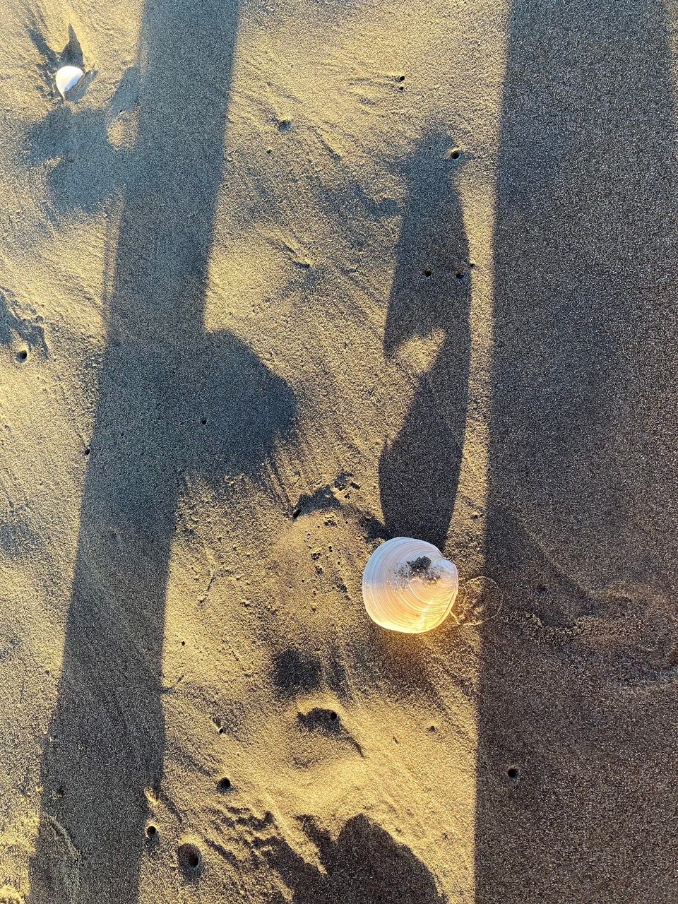 Neuseeland - Christchurch - Erinnert mich an Pacman 😂 nom nom nom