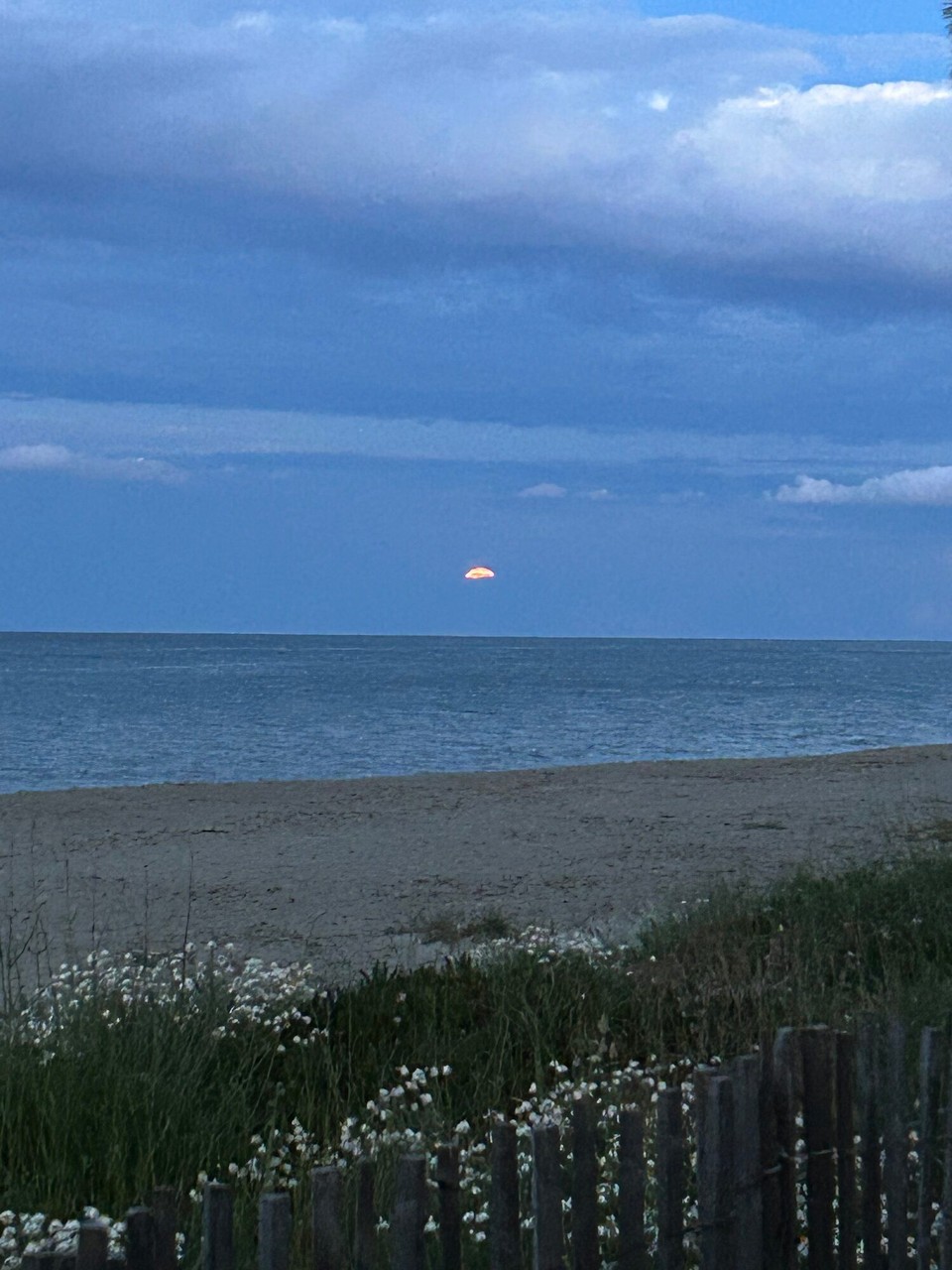 Frankreich - Biguglia - 