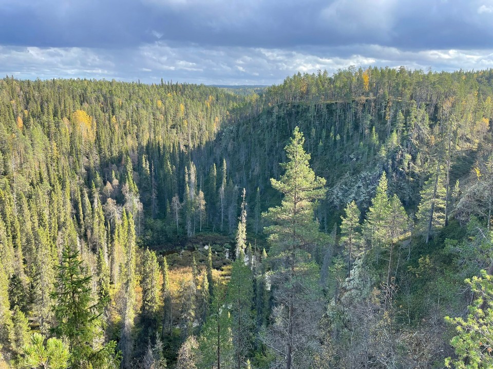 Finnland - Rukatunturi - Unendliche Wälder 