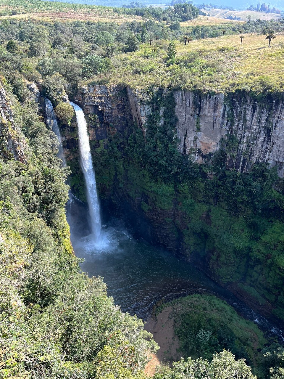 South Africa - Randburg - 