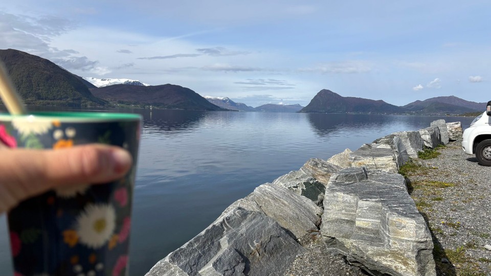 Norwegen - Nerlandsøya - Guten Morgen am Fjord bei Sonnenschein 