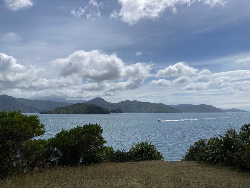 Neuseeland - Picton - 