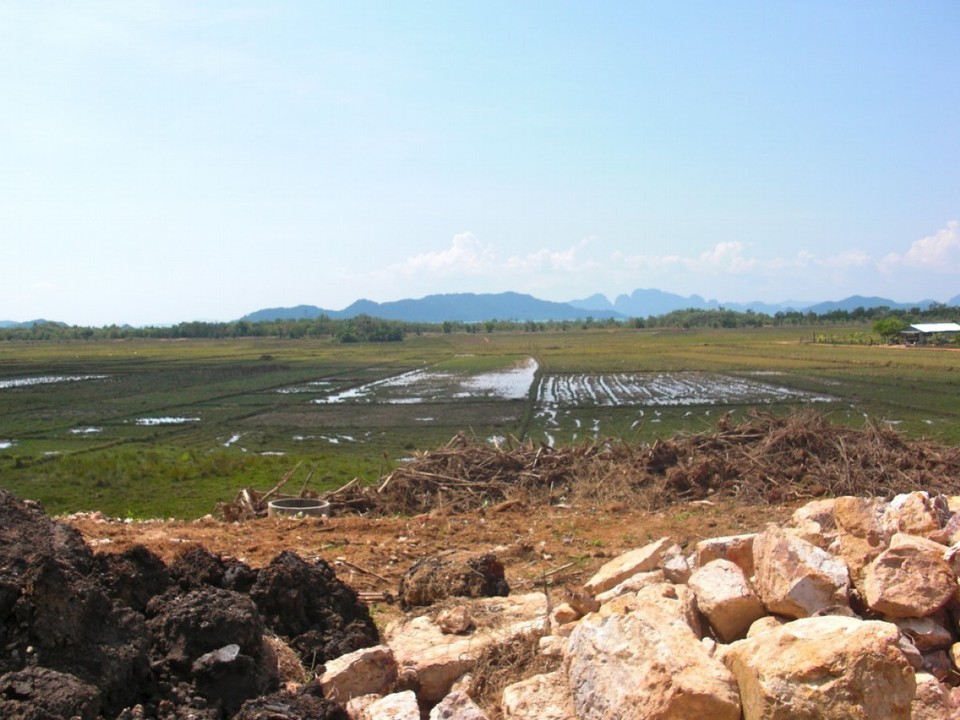 Thailand - Amphoe Ko Yao - Resifelder