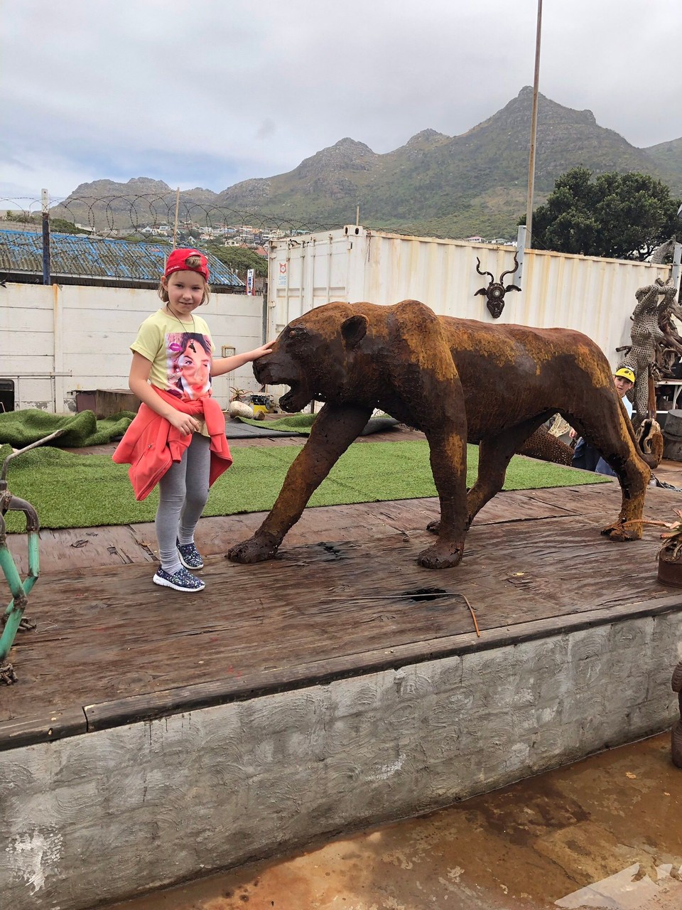 Südafrika - Hout Bay - So mutig kann Nur Emma sein
