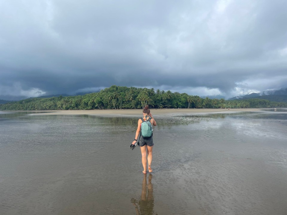 Costa Rica - Osa - Besonders bekannt ist der Park für eine Sandbank in Form einer Walschwanzflosse 🐳  (wer auf der Landkarte ranzoomt sollte sie erkennen)

Wir haben bis nachmittags gewartet, denn die Sandbank ist bei Ebbe begehbar - dann bietet sie einen spektakulären Blick auf den Strand 🏖️ 
