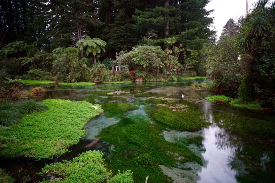 Neuseeland - Hamurana - 