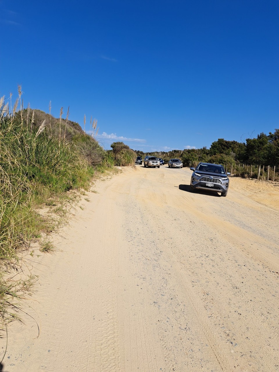 Neuseeland - Mangawhai - Beim verlassen des Strandes kommt gleich eine Autolawine zu fischen 